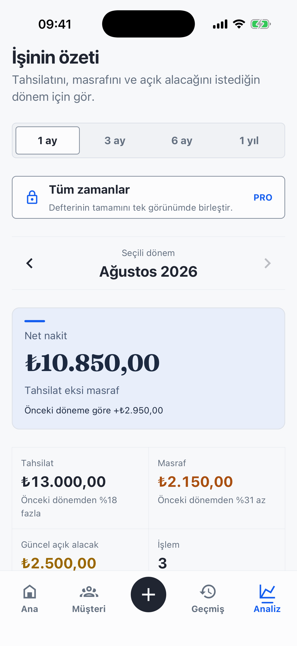 Easy Peasy dönemsel iş analizi ekranı
